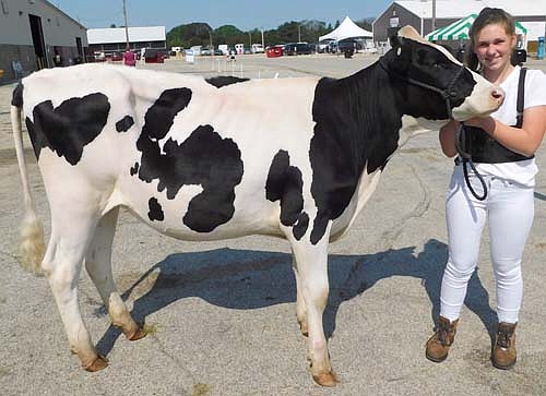 Emma Klingsporn, a member of the Burr Oak Beavers 4-H Club who will be a freshman at Stewartville High School, stands with "Doc," a 1-year-old Holstein she showed at this year's Olmsted County Fair. For Emma, the Fair is a combination of hard work and good times.