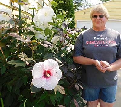 Linda Busby, who lives at the 500 block of Fifth Avenue Southeast, poses near her hibiscus plants along the side of her Stewartville home. "There are a lot of different varieties of hibiscus," she said. "The white ones, I had a hard time finding them. They're perennials, so they come back up by themselves." She loves taking care of her flowers. "It's relaxing," she said. "It's nice to see what you can do. Sometimes it's a challenge, sometimes it's easy-peasy. These (hibiscus) are so easy. You just put them in the ground."