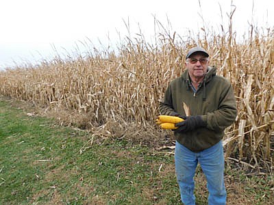 Dave Bunde, who grows about 375 acres each of corn and soybeans on his 800+ acre farm about seven miles southeast of Stewartville, is pleased with his 2019 harvest. With all his beans out of his fields as of Monday, Oct. 28, Bunde harvested an average of about 53 to 54 bushels per acre. Although he didn't start harvesting his corn until last week, his consultant told him there's a good chance his corn harvest will average 200 bushels per acre. Considering a summer that brought record rainfall to southeastern Minnesota, Bunde is grateful for a good year with his crops. "Most of the other farmers in the area have been happy with their yields," he said.
