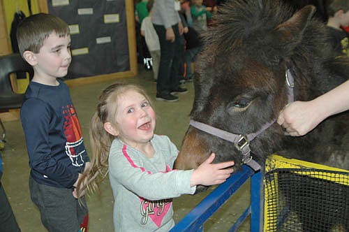 Maddy Krause, a preschooler at the Central Education Center, couldn't contain her excitement when she met a donkey at the Stewartville High School FFA Ag Fair on Thursday, Feb. 21. The photo was featured the Stewartville STAR's Year in Review and week-by-week recap of some of the local stories from January through June 2019.