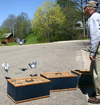PIGEON LESSON -- Glyndon West, a Rochester builder-remodeler, releases his pigeons for a flight back to his Rochester home. "It will take them about 15 to 20 minutes to fly back to my house," he said. 
