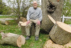 Daniel Ware, sits on and nearby the stumps left from a huge tree cut down at the front of his property.