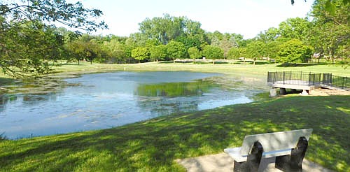 Authorities from the Olmsted County Sheriff's Office are searching for someone who stole the lighted fountain from the Lake Florence Pond, pictured above, late Wednesday, June 10 or early Thursday, June 11.