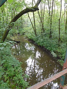 Residents who walk across the bridge that connects Sunset Prairie Park to Bear Cave Park will encounter a pleasant silence interrupted only by the songs of birds. If they take the time to look, they'll see tall trees reflected in the water below, as if growing up to the sky, and down into the water.