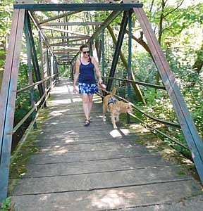 Diane Gray of Stewartville walks Duke, the Grays' 7-month-old golden retriever, across the bridge that connects Sunset Prairie Park and Bear Cave Park on Wednesday morning, July 29. The Grays give Duke plenty of exercise. "We try to walk him three times a day," Diane said.