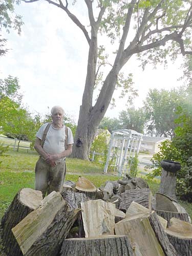 Daniel Ware stands near a silver maple tree in his front yard at 519 Fifth Avenue Southeast. The maple is one of three trees, declared hazardous, the City Council has ordered Ware to remove from his property. Ware recently hired an arborist to trim back the maple tree, as evidenced by the wood pile in the foreground.