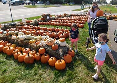 Lauren Cole of Stewartville, far right, and her twin daughters, Sophia, left, and Madeline, 4, browse among the many pumpkiins near Strikers Corner in Stewartville on Tuesday, Sept. 22.