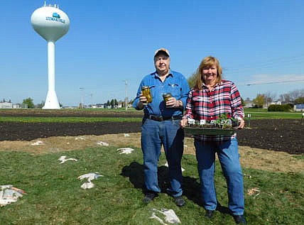 Jim Kvall, left, holding jars of pickles, and Anita Wendt displaying cucumber plants, will work together this summer at their three plots at the city of Stewartville's community garden, where they'll grow tomatoes, muskmelon, okra, kohlrabi, onions, green beans, beets, radishes and more.