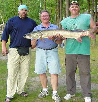 This trio of local fishermen caught a 50-inch, 45-pound musky on a recent Minnesota fishing trip. The person on the left is Kent Bell (running the boat), the person in the middle is John Ulwelling (running the pole/catching the fish), and the person on the right is Rodney Bell (running the net). 