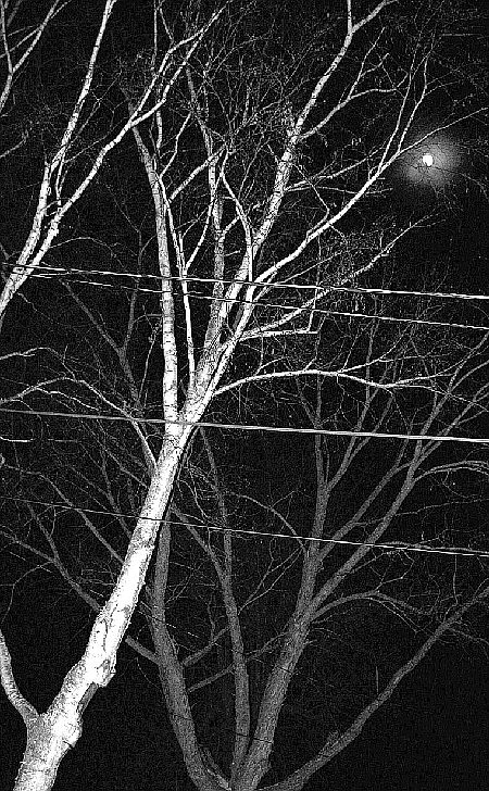 -- Bright light encircled the moon on a Stewartville winter's night on Thursday, Jan. 8.  