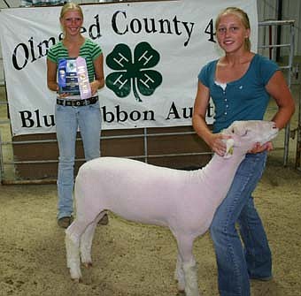 Amy Reinhardt of the High Forest Chippewa Champions, reserve white face market lamb. 