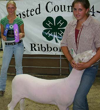 Emily Reinhardt of the High Forest Chippewa Champions, champion white face market lamb. 