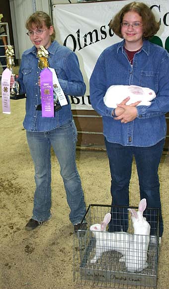 Stephanie Zylstra, at left, Interstate Hi-Flyers 4-H Club, reserve champion senior showman, grand champion pen of three, rabbits. 