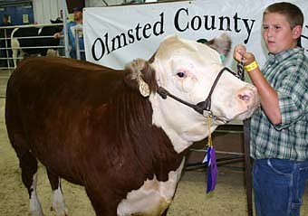 Jon Dilworth, High Forest Chippewa Champions, reserve champion junior showman for beef. 