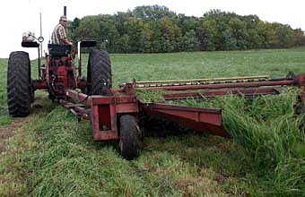 WORKING THE FIELDS -- Although their crops endured a July dry spell and an August drenching, Stewartville area farmers expect respectable yields from their corn and soybeans this year. Farmers continued working in their fields last week. Chuck Wendt, who operates a 320-acre farm about seven miles west of Stewartville,  worked to cut hay last week. Wendt raises hay, corn and oats for his dairy and beef cattle. "We've had good hay this year," he said. 