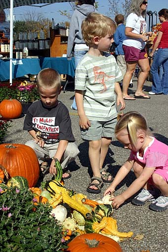 SELECTIVE SHOPPERS -- Jack Parry, 5, left, of Stewartville, and his sisters Jordan, 3 1/2, and Abbi, 2 1/2, look through the gourds and pumpkins at the Racine Ramblers booth at the annual Fall Harvest Day on Saturday, Oct. 6. 