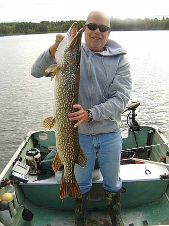 Bruce Butturff of Stewartville caught this 41 1/2 inch northern pike on Sept. 8 in the Boundary Waters Canoe Area Wilderness. The fish was estimated to weigh about 20 lbs. and was released unharmed. 