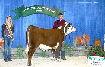 Jon Dilworth, 15, a member of High Forest Chippewa Champion 4-H Club received Grand Champion at the Minnesota State Fair with his Hereford Heifer.   He also won Grand Champion the following weekend in the FFA show held Sept. 5 and was presented in a special FFA presentation Sept. 6 with all the other Species Champion in FFA.    Jon is from Goodhue and is a sophomore this year.   He leased his heifer from Robby Roeder of Roeder Farms in Stewartville.    