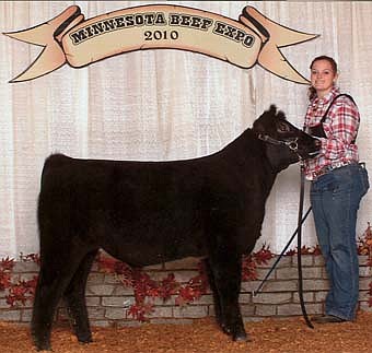 The 2010 Minnesota Beef Expo was held Oct. 21-24 at the Minnesota State Fairgrounds in St. Paul. Lexie Schunke is shown with her reserve champion shorthorn plus steer following the beef expo.   