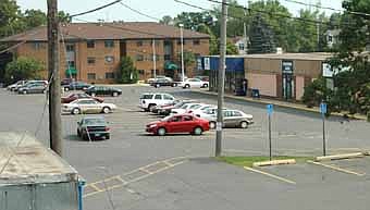 The Stewartville City Council, at its regular meeting last week, discussed adding a bit of greenery to the parking area between Stewartville City Hall and the Stewartville Care Center. Councilperson Lori Miller-Beach said that people refer to the area as an "asphalt jungle." 