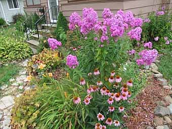 A colorful array of flowers and plants decorate a lawn along Third Street Southwest.    