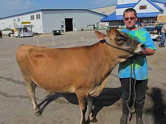 George Skare,14, of Stewartville, showed "Taz" named the grand champion fall yearling jersey at this years Olmsted County Fair. 