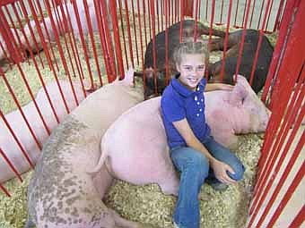JoJo Welter, 12, showed three pigs at this year's Olmsted County Fair and won a grand championship in Showmanship with one of her entries 