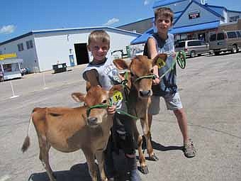 Jack Yetter, 6, left, earned a blue ribbon with "puff," a jersey calf; an his brother Josh, 9, helped his grandmother with "Twinkle," another calf. 
