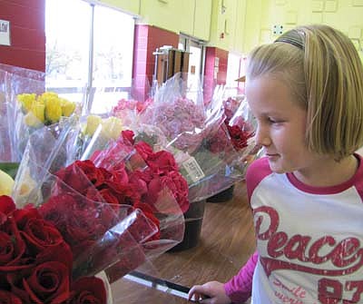 Residents who bought roses from the Stewartville Kiwanis Club picked up the flowers at Central Intermediate School on Thursday, Oct. 4. Makayla Kennedy, 9, of Stewartville, takes a close look at the roses displayed on the tables in the school's cafeteria. The Kiwanis Club uses proceeds from the sale to assist the Stewartville High School Key Club and the Stewartville Middle School Builders Club.       