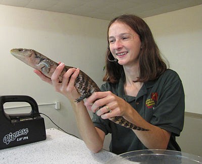 Melissa Pastika holds a blue-tongued skink, otherwise known as an Australian lizard. "It doesn't take him long to get warm in the desert," she said.  