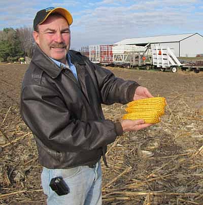Clifton Feltis, who grows 230 acres of corn and 210 acres of soybeans on his farm about 2 1/2 miles northeast of Stewartville, holds a few samples of the corn he recently harvested from his fields. Given the hot and mostly dry summer, Feltis was surprised that his fields produced a record 203 bushels of corn per acre and an excellent 52 bushels of soybeans per acre. "I would have thought that (the yields) would have been average at best," he said.     
