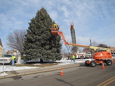 Public works employees from the city of Stewartville took the Christmas lights off the tree near City Hall last Tuesday, Jan. 8. 