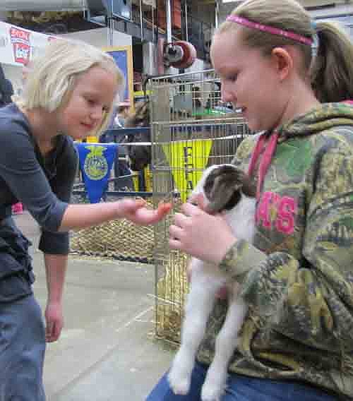 MacKenzie Rogers, a student in Emily Johnson's kindergarten class, reaches for a week-old goat held by Brenna Harvey, freshman FFA member.