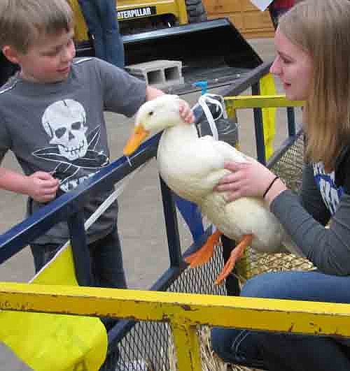 Mason Holtan, a student in Kathy Pinke-Thorson's kindergarten class at Bonner Elementary School, says hello to a duck held by Eleni Solberg.