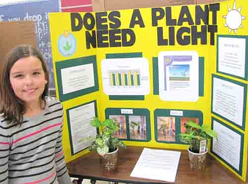 Haley Wangen, a fourth grader at Central Intermediate School, displays her project at the school's Science Fair last week. She learned that sunlight helped the plant at left to grow and that darkness stunted the growth of the plant at right. "Light is like a form of food for the plant," she said.