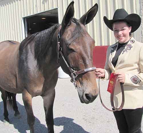 Jessica Skare, 13, of Stewartville, showed Rocky, a mule (half donkey, half horse) at this year's Olmsted County Fair. "I try to go out with him every day to walk with him,"&#8200;she said.