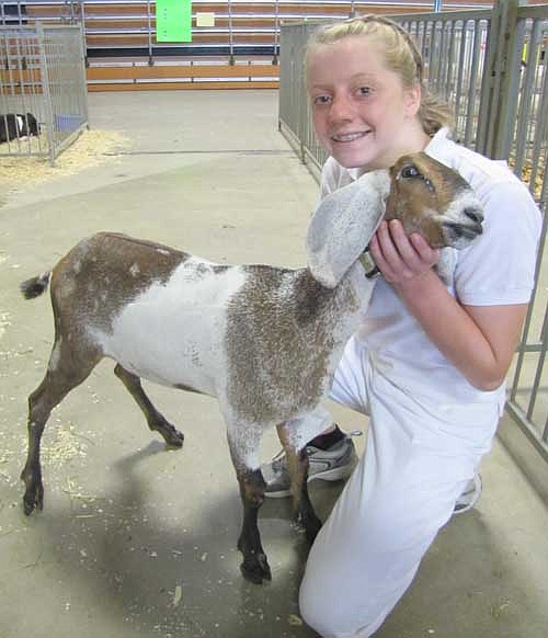 Abigayle Wilson, 14, who will be a freshman at Stewartville High School, showed a junior doe kid goat at this year's Olmsted County Fair. "You have to teach it to walk for you," she said.