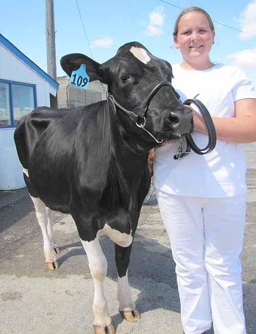 Samantha Oehlke, 11, a member of the New Dimensions 4-H Club, stands with "Victoria," a Holstein yearling. Victoria won a blue ribbon at this year's fair. "I wasn't expecting that," Samantha said. "She gets a little stubborn every once in awhile."