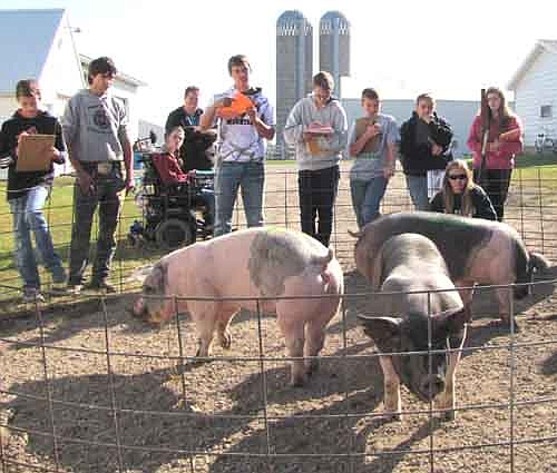  About 460 students from 25 area school districts took part in the annual Stewartville Invitational on Wednesday, Sept. 25. Students judged pigs, beef cattle, sheep and goats at the Roeder farm, dairy cattle at the Twohey farm and horses at Ironwood Springs Christian Ranch.