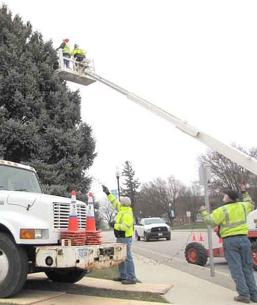 City of Stewartville public works employees signaled that Christmas is near when they strung Christmas lights on the tree near Stewartville City Hall last week.