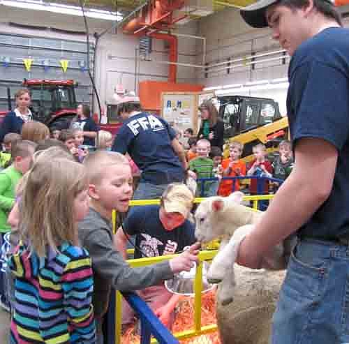 Brekken Horstmann, a kindergartner at Bonner Elementary School, reaches out to touch a lamb at the FFA Elementary Ag Fair at Stewartville High School on Wednesday morning, Feb. 26. Mitch Osterhus, a member of the SHS FFA, right, holds the lamb for Kyler as kindergartener Paige Drees, at right in the foreground, looks on.