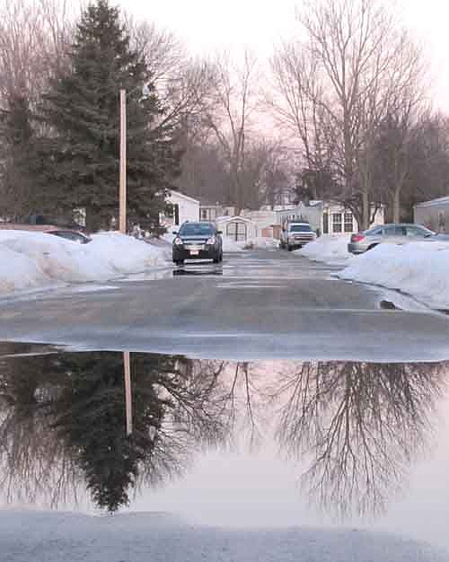 Snow and ice that melted into water provided a mirror that reflected the large trees along the sides of a street in Southern Hills earlier this month.