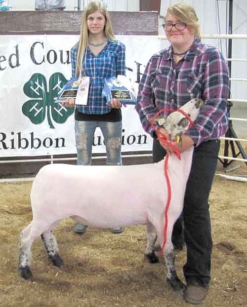 Andrea Parker of the Rock Dell Indians 4-H Club showed the reserve speckle market lamb. Southeast Mutual Insurance bid $300 for the animal at the Fair's Blue Ribbon Auction.