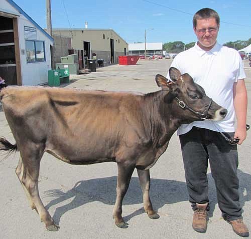George Skare, 16, a member of the High Forest Chippewa Champions 4-H Club who will be a junior at Stewartville High School, showed "Chandra," a jersey fall calf, at this year's Olmsted County Fair.
