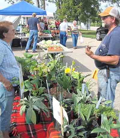Pat Ostby of rural Dexter, left, who sells perennial plants, listens to a proposal from Henry Vrieze of Stewartville, who offered Ostby some free flower pots.