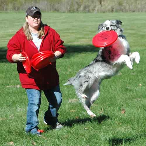 Dogs of all sizes enjoyed their time in the spotlight at the Stewartville Area Chamber of Commerce's first-ever Pets in the Park event at Florence Park on a beautiful autumn day on Saturday, Oct. 11. The Minnesota Disc Dogs ran hard and leaped high to catch their owners' flying discs.