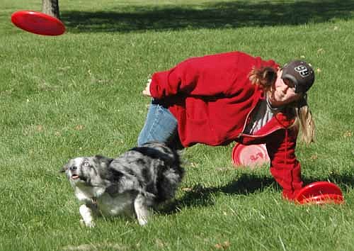 Dogs of all sizes enjoyed their time in the spotlight at the Stewartville Area Chamber of Commerce's first-ever Pets in the Park event at Florence Park on a beautiful autumn day on Saturday, Oct. 11. The Minnesota Disc Dogs ran hard and leaped high to catch their owners' flying discs.
