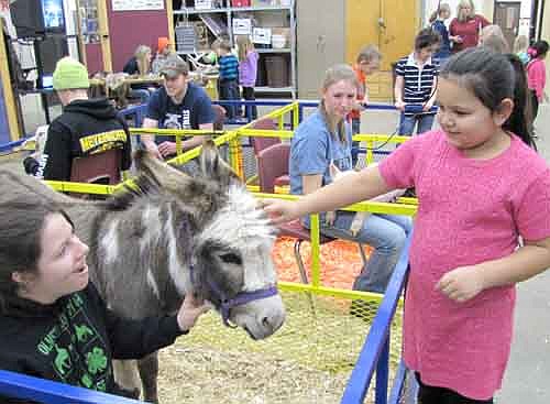 Rylie Holst, a first grader in Kathy Londowski's class at Bonner Elementary School, says hello to a donkey at the SHS Ag Fair last week. Jessica Skare, a freshman FFA member, controls the donkey.  Makayla Morgan, a junior FFA member, is seated in the background at right.
