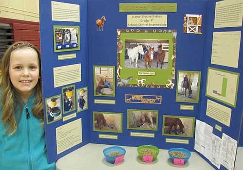 Brooke Bakken predicted that her family's three horses would choose their feed based on good taste and smell. Her hypothesis was correct.