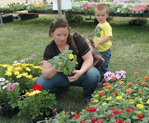 Jenny Kiefer of LeRoy, joined by her son Isaac, 3, browsed among Mary and Lynn Harnack's flowers near Grisim School Bus, Inc. during Stewartville's citywide garage sale last Thursday, May 7. Hundreds of residents from Minnesota and Iowa attended last week's sales. In all, occupants of 125 local homes officially registered at the Stewartville STAR to sell items at this year's sales.